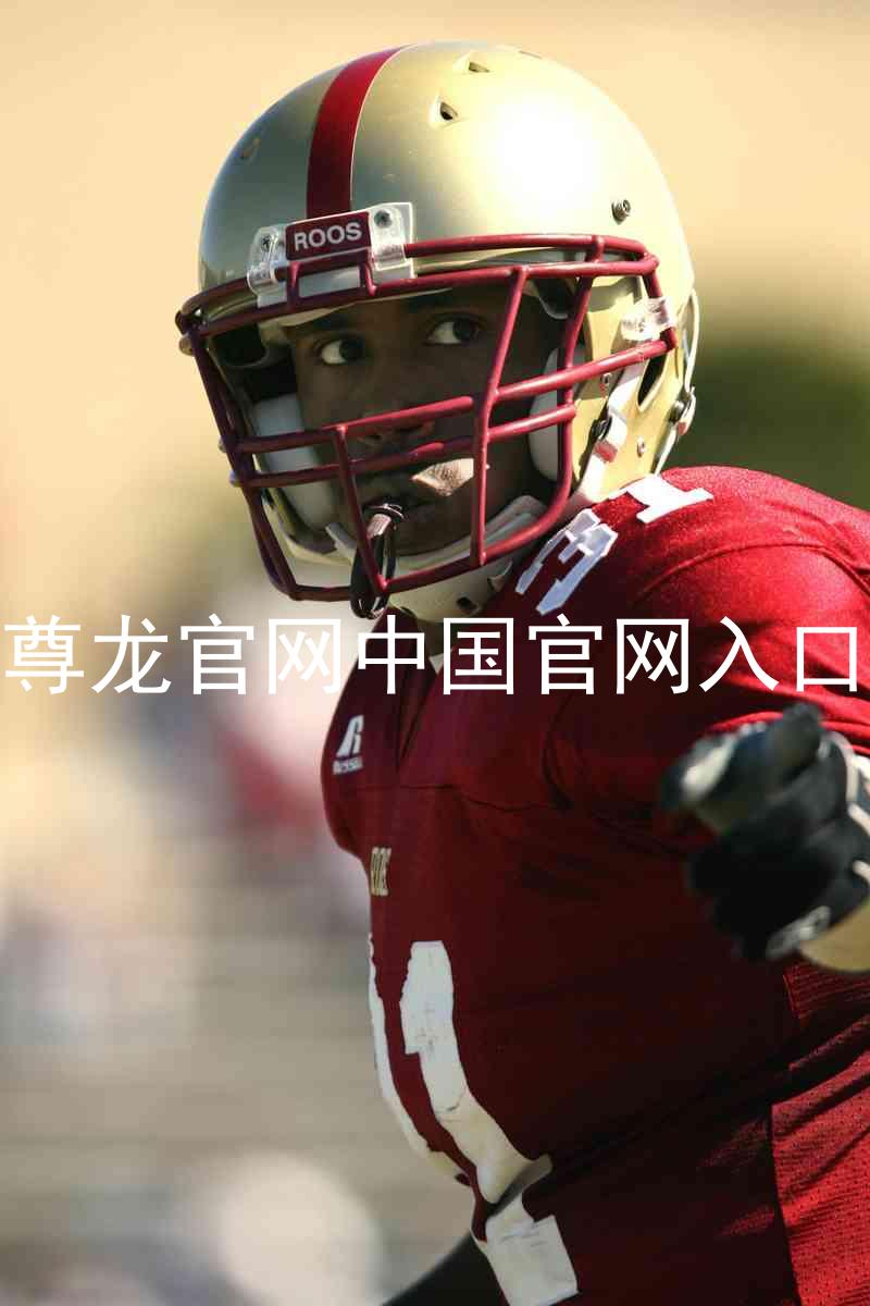 尊龙官网中国官网入口