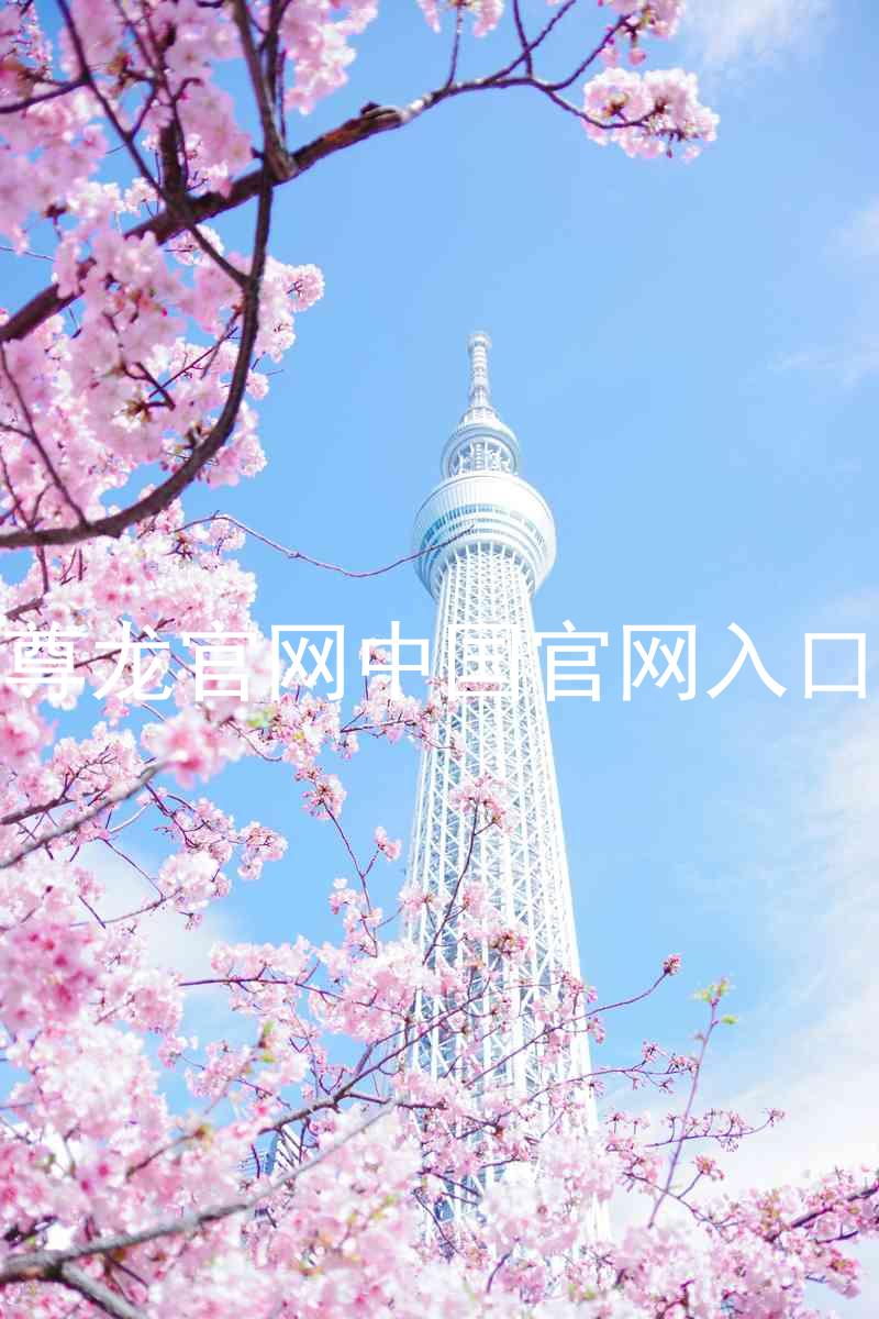 尊龙官网中国官网入口