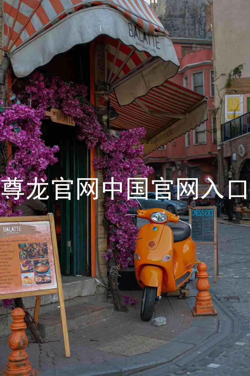 尊龙官网中国官网入口