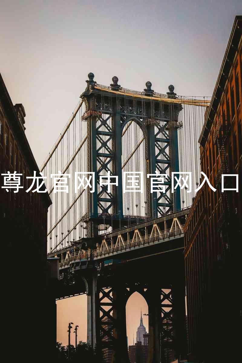 尊龙官网中国官网入口