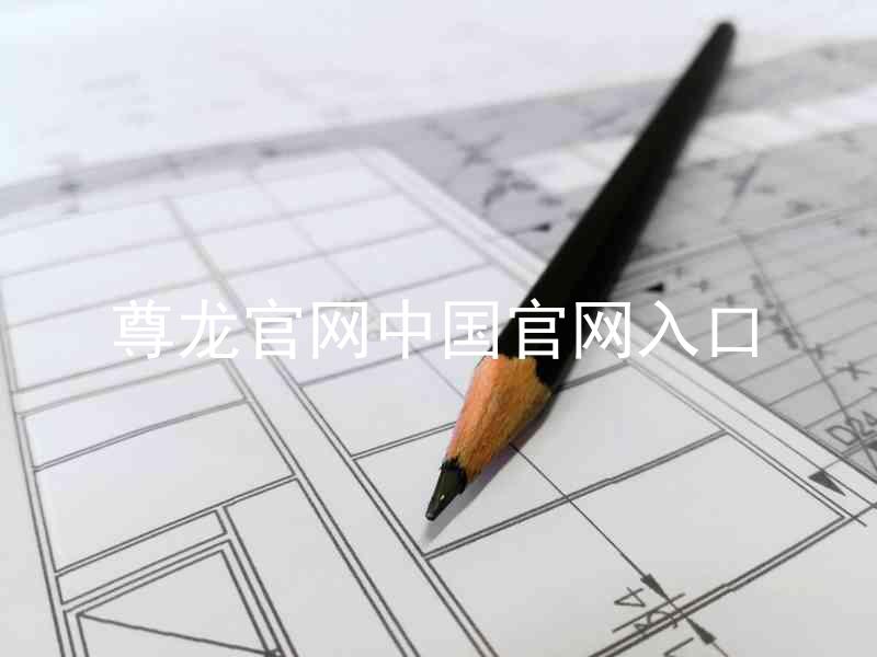 尊龙官网中国官网入口