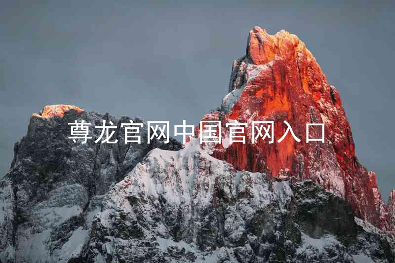 尊龙官网中国官网入口